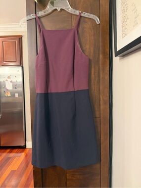 French Connection Plum and Navy Colorblock Mini Dress